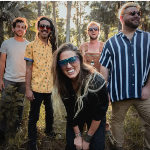 Artikal Sound System Concerts in Tampa