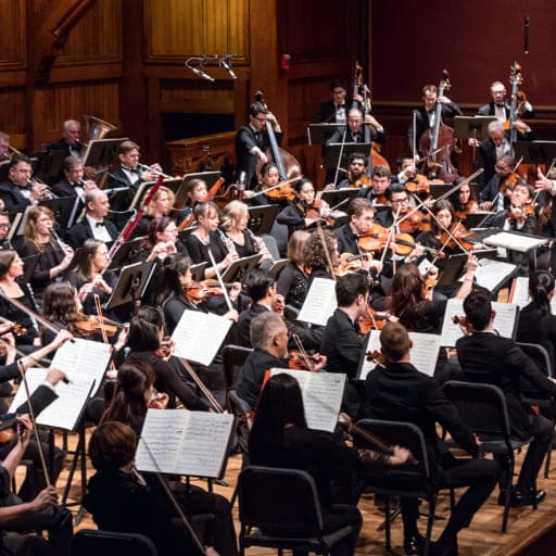 Schubert Concerts in Tampa