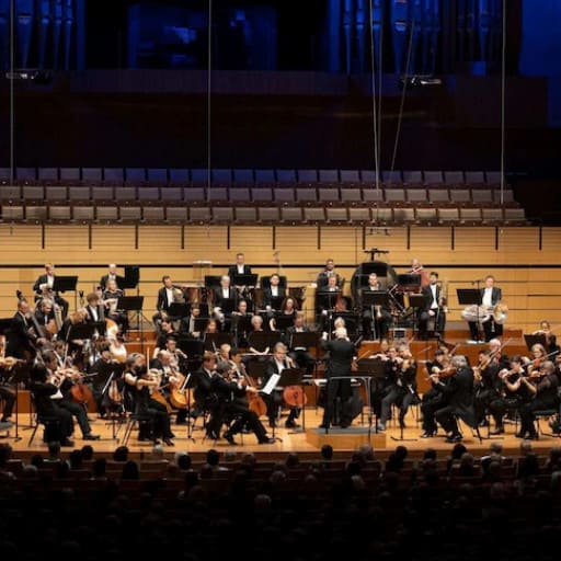Tchaikovsky Concerts in Tampa